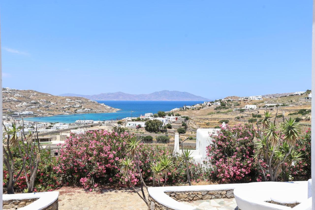 Mykonos In White Villa Mykonos Town Buitenkant foto