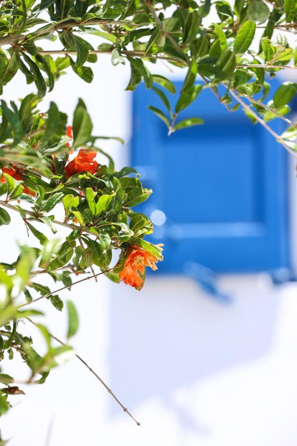 Mykonos In White Villa Mykonos Town Buitenkant foto